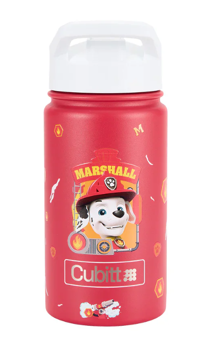TERMO CUBITT JR