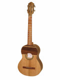 CUATRO MODELO 37 DE 17 TRASTES MARQUETERIA ELECTROACUSTICO